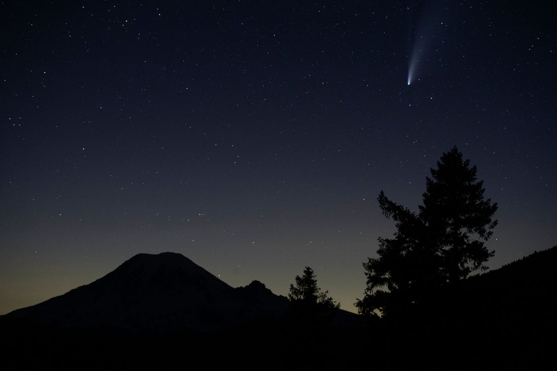 Comet Neowise is seen in the night sky above several trees, in Olympia, Wash.